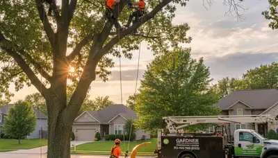Professional tree removal service in Olathe, KS by certified arborists at Tree Service Olathe KS