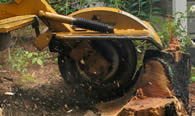 Stump Removal in Olathe KS